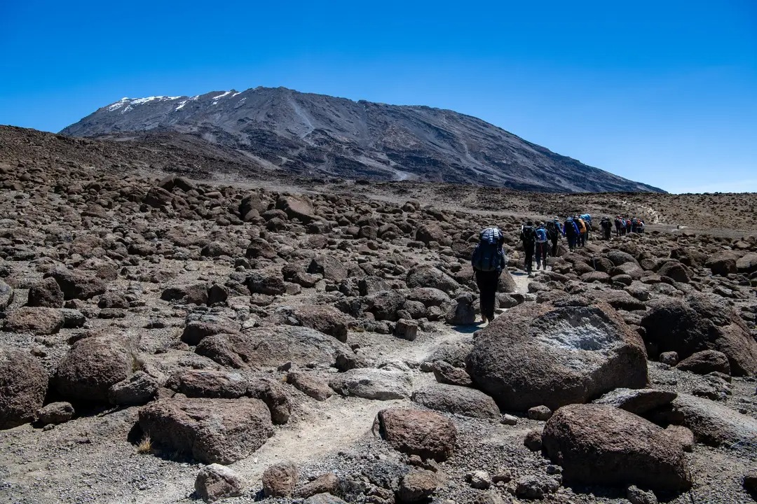 Kilimandjaro